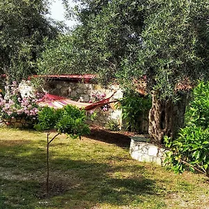 *** Gasthof Filoxenia - The Place Of Experience Albanien