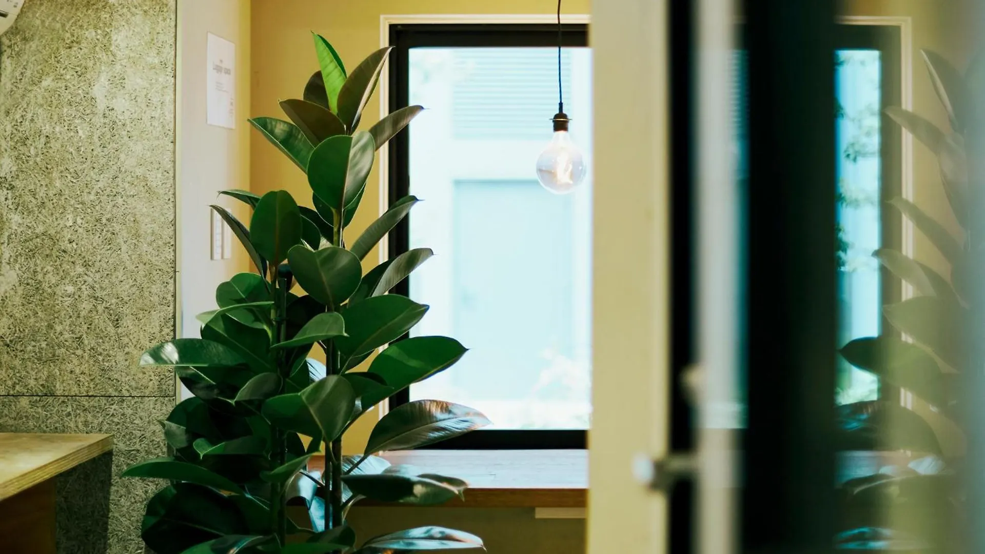 Akasaka Guesthouse Hive Tōkyō 0*,  Japon